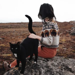 Nocturnal jumper (Ночной прыгун) от saskie&co